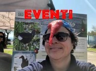 0e6d518f2862e46e381d7ef0ce781e775afb0298