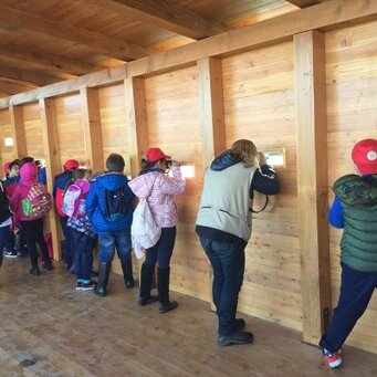 Capanno di osservazione Educazione ambientale