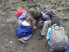 264cb84be99dff8281acbdbf54f6c7daa751aa0a