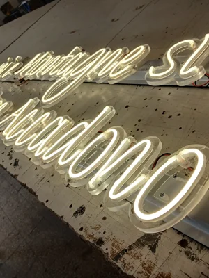 INSEGNA LUMINOSA A FLEX LED ROCCAMASSIMA LATINA