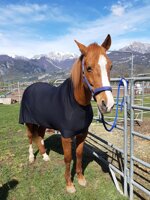 coperta-in-lycra-senza-collo