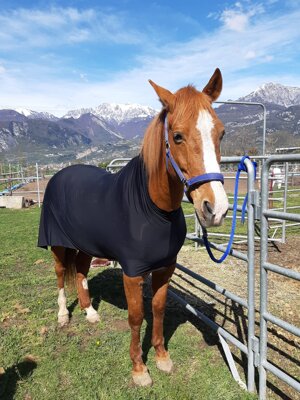 coperta-in-lycra-senza-collo