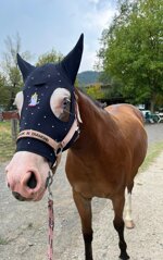 cuffietta-unicorno-con-strass