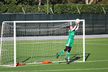 50dd334850a6b832d86643159020441b43220eba