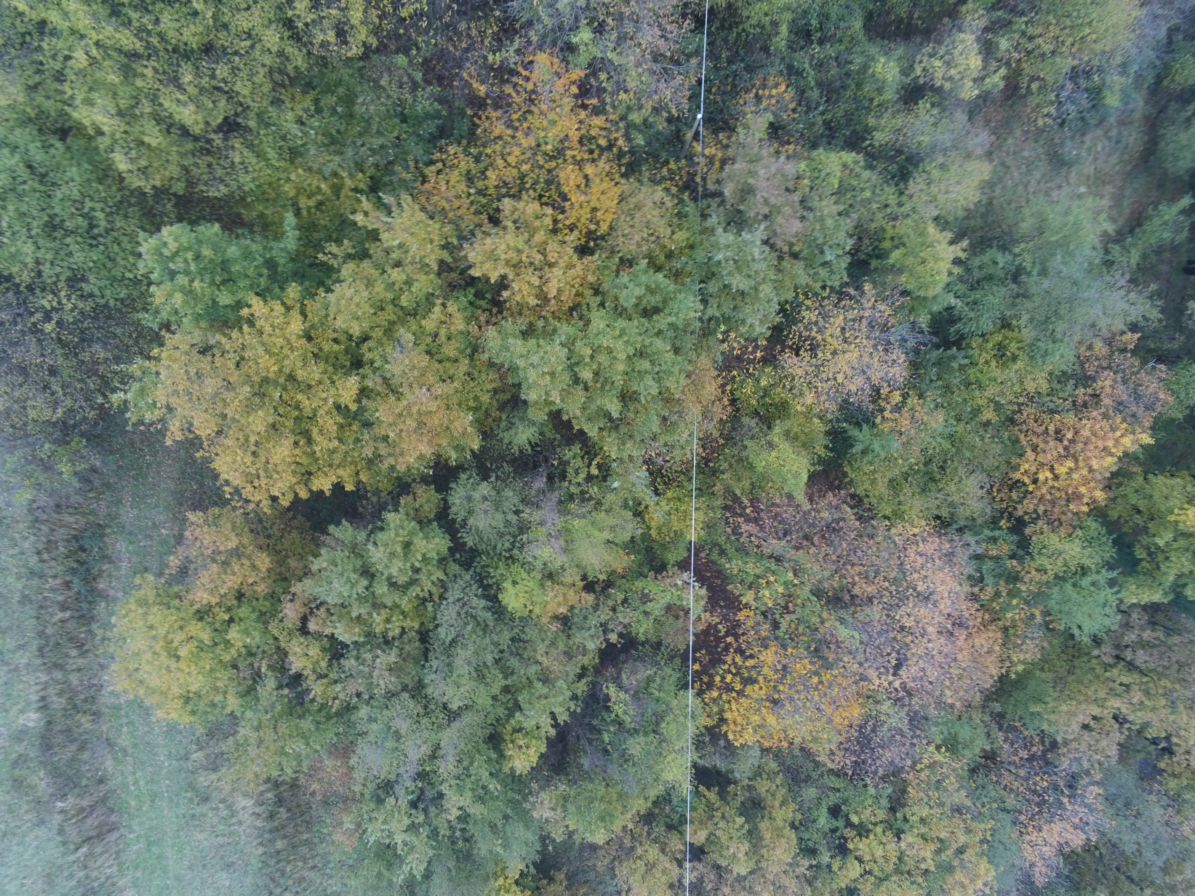 Ispezioni con drone