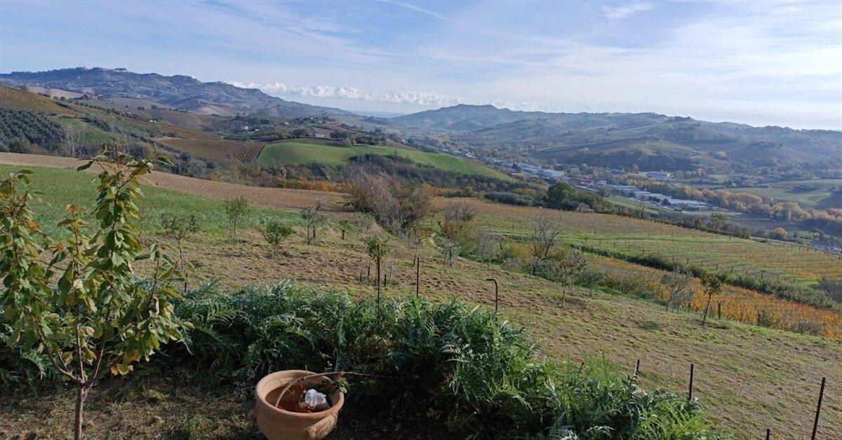 Zone rurali dell&#039;entroterra piceno