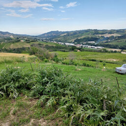 campagna marchigiana campagna marchigiana