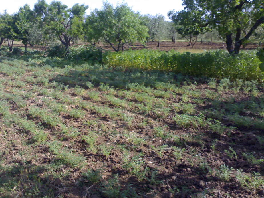 ff4a3eca6a0de5e7e01c6dac6288d498b9072be0 ff4a3eca6a0de5e7e01c6dac6288d498b9072be0