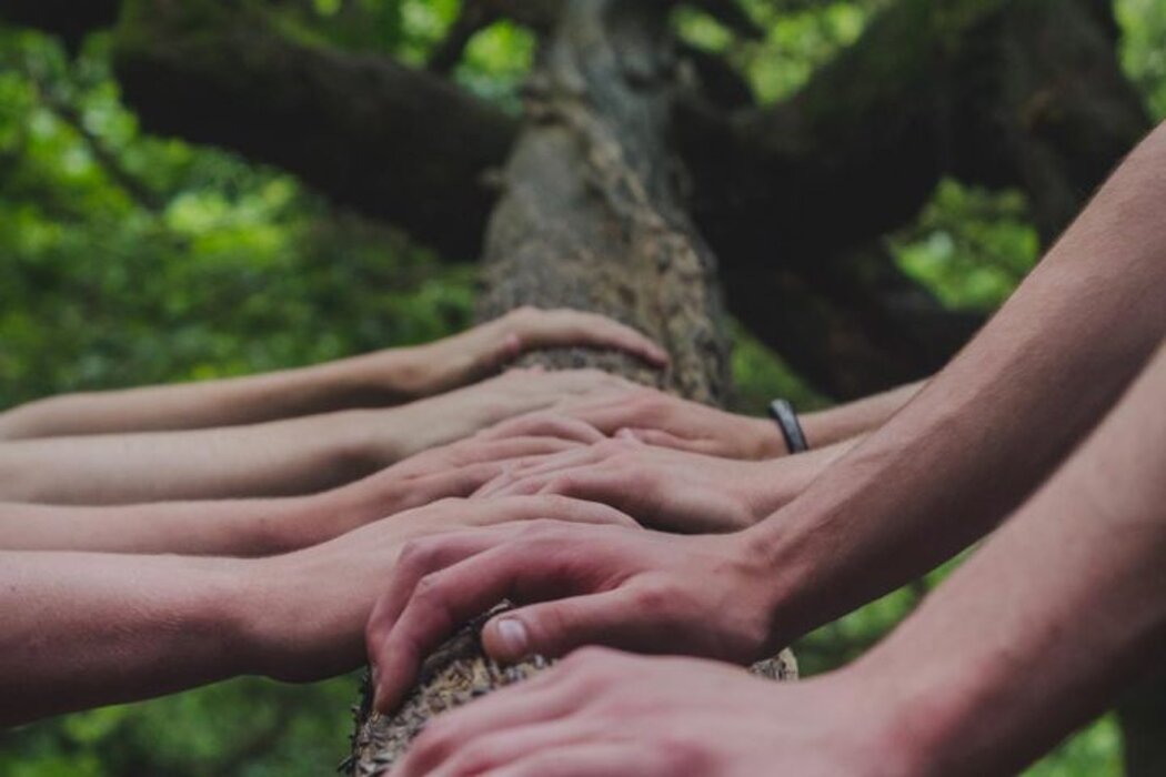 4e7f6e74da76c07565ee4b67478ec7660992da42