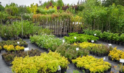 9623d267d2927d602e897d6b1bc39007a4b9e788