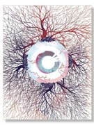 American Illustration 31 Book