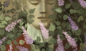 balbusso_twins_classic_literature.011.jpeg