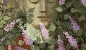 balbusso_adult_cover.025.jpeg
