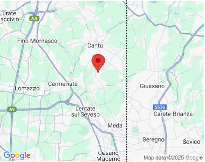 immagine 2025-11-24 161105