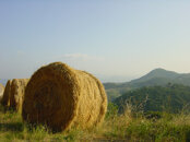 df269c5df4093585176b6bbd05b22d7cee1041ac