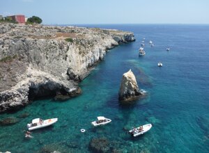 4ab06d88558e31c5aac60311617ffed47f0b0a2d