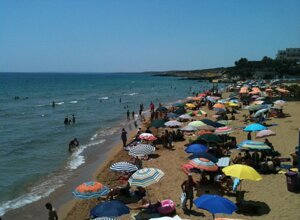 3079813a82dee0a37cf21ed9c91d4cca0f69e558