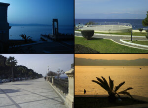 5a274ee6-57fe-485f-a07d-867fca45693c