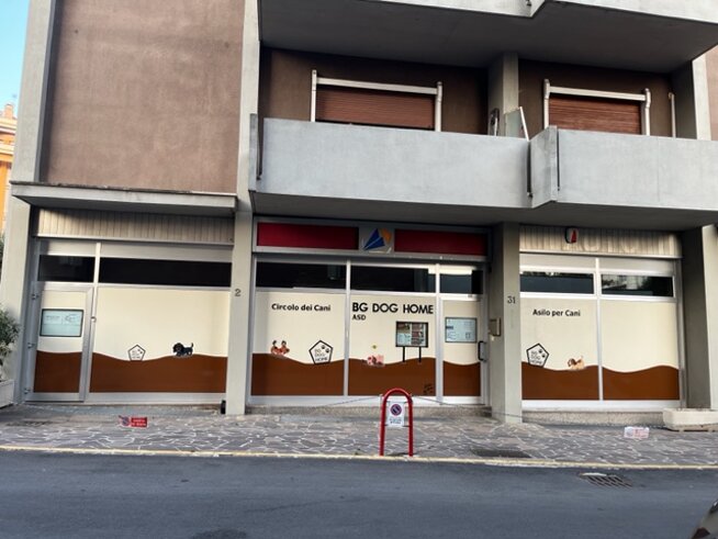 vetrine.jpeg vetrine.jpeg