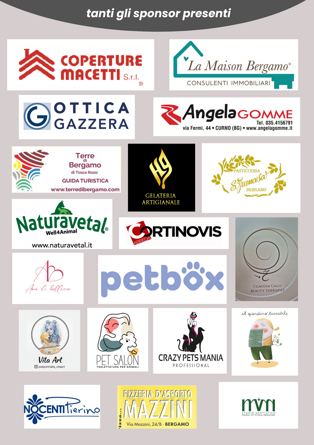 sponsor