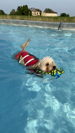 img_0189.jpeg