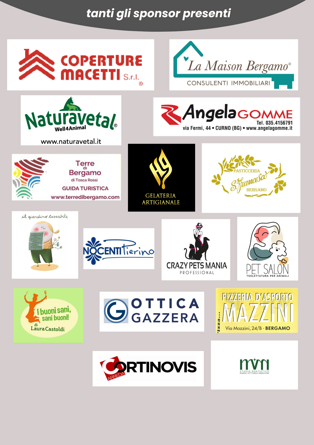 sponsor