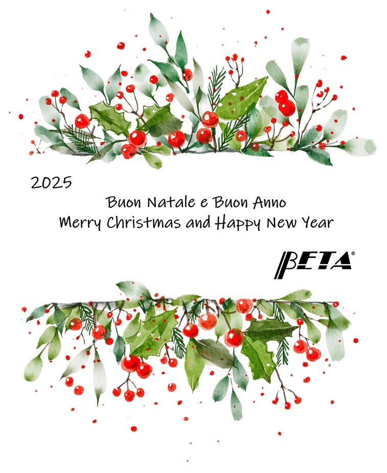 xmas card_2025_website.jpeg