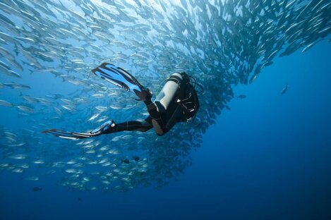 scuba-475982999.jpeg