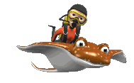diving diving
