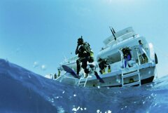 open water diver.jpeg