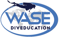 wase logo