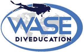 wase logo