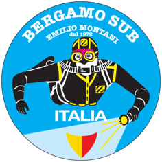 logo bgsub 1972
