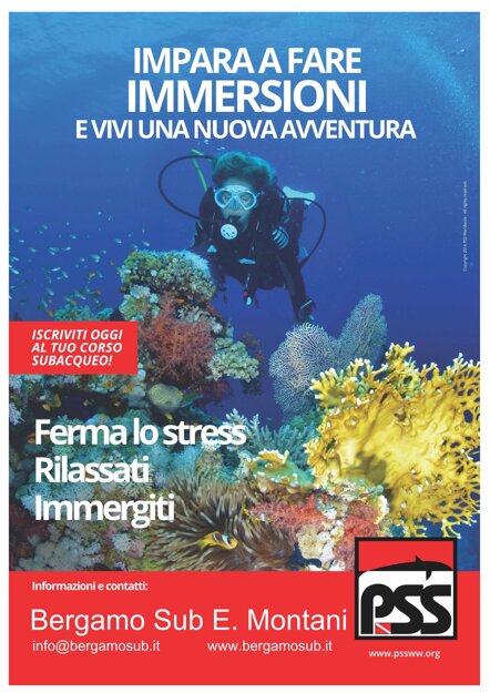 volantino2.jpeg volantino2.jpeg
