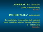 bioreversione-weekend-la-tua-rimessa-in-forma