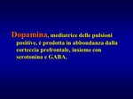 bioreversione-weekend-la-tua-rimessa-in-forma