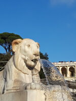wed-roma-dallimpero-al-purgatorio-passeggiata-wed-e-brunch