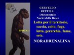 bioreversione-weekend-la-tua-rimessa-in-forma