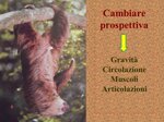 bioreversione-weekend-la-tua-rimessa-in-forma