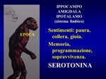 bioreversione-weekend-la-tua-rimessa-in-forma