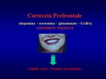 bioreversione-weekend-la-tua-rimessa-in-forma