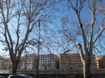 wed-roma-dallimpero-al-purgatorio-passeggiata-wed-e-brunch