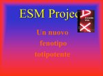 bioreversione-weekend-la-tua-rimessa-in-forma