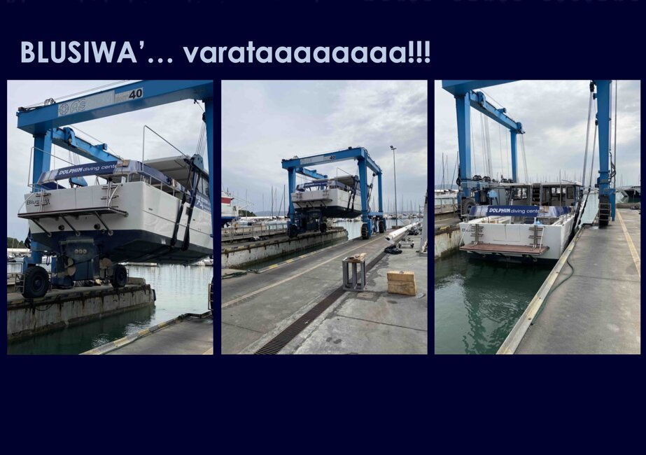 Calata delicatamente in acque dell'Argentario ecco Blusiwa' in acquaaaaa!