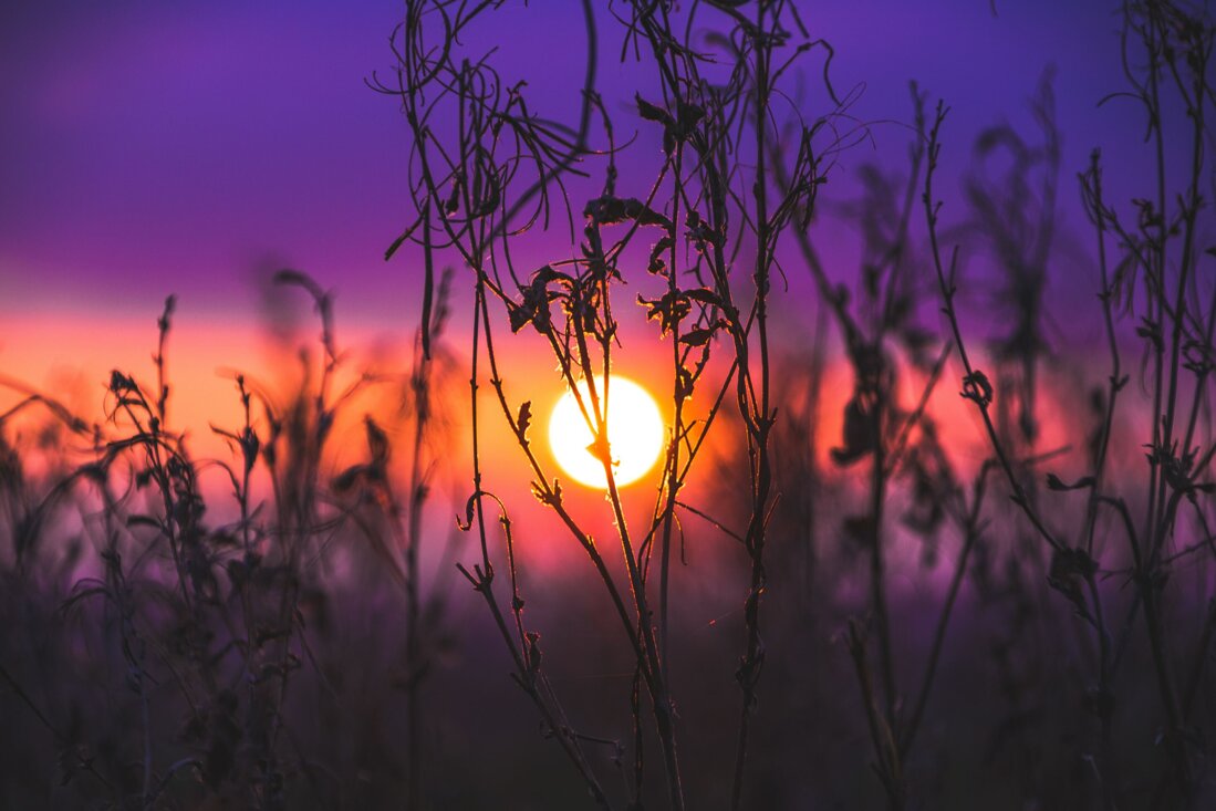 jack-b-sxxlj4gdkyo-unsplash.jpeg