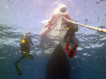 pict0874_c