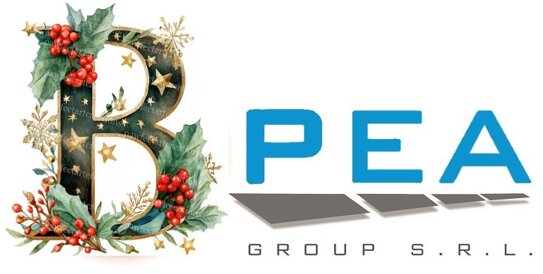 logo bpea group srl.jpeg