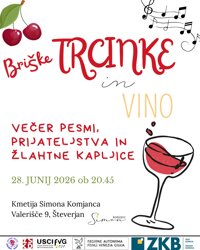 Briške Trcinke in Vino