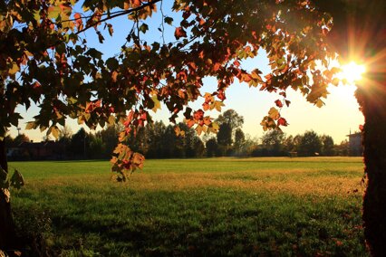 2c637b6b-85f7-47f4-9fca-6b5f08b5393d 2c637b6b-85f7-47f4-9fca-6b5f08b5393d