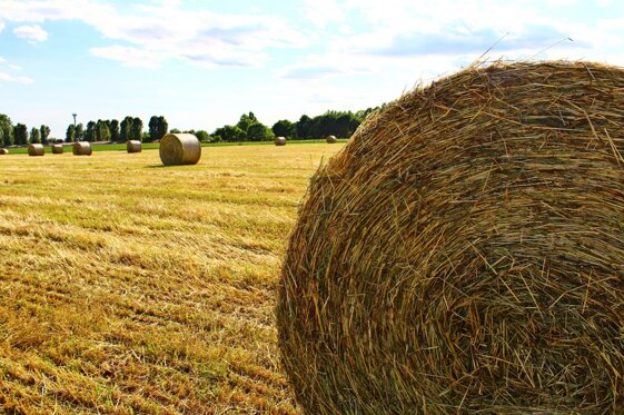 2200cb2d-5e2d-455a-9e13-24578e15fe15 2200cb2d-5e2d-455a-9e13-24578e15fe15